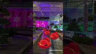 Living With The Land Becoming Lazy River Ride