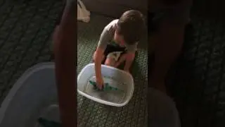 JaxZap gets a alligator toy ... that grows in the water! Part One