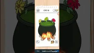 Brain Test 3, Level 58
