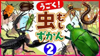 【昆虫大図鑑★②】昆虫や色々な虫の名前を覚えよう♪英語&日本語