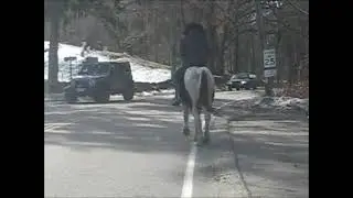 great TWH TRAIL HORSE FOUND a home filmed by Twombly Publishing