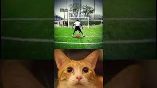 Mister Bombastic penalty