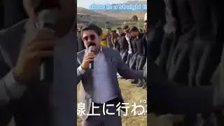 An Unforgettable Halay Celebration: The Secret of the Crowded Halay Line and the Head-Spinning Songs