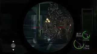 BORA DE RESIDENT EVIL 5 #2