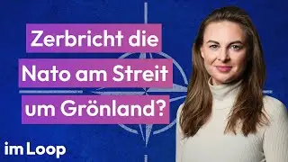 Zerbricht die Nato am Streit um Gr&ouml;nland?