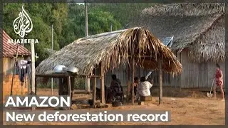 Brazil sets &lsquo;worrying&rsquo; new Amazon deforestation record