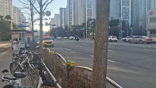 BYD EBUS9 향남에 상륙!!(화성 버스 33-1)