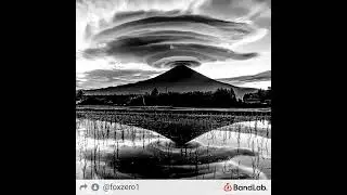 Foxzero- charla nocturna// paisaje gris.