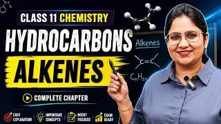 Hydrocarbons - Alkenes | Most Important Topic | Guaranteed Questions | Class 11 Chemistry