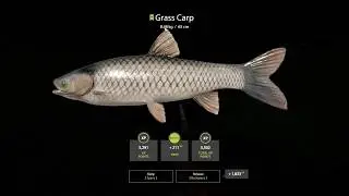 Russian Fishing 4 Old burg Lake Grass Crap 8.48 Kg
