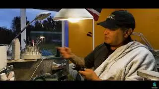 A Day With Bevan, Greenstone Master Carver
