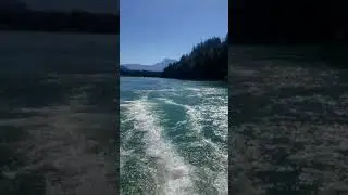 Harrison River July, 2020