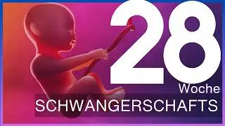 28. Schwangerschaftswoche: Was passiert im dritten Trimester | Update 28 SSW