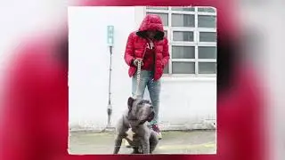 [FREE] Lotto Ash X A1 x J1 X Tropical Drill Type Beat 2021 - 