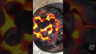 JWinnovo Pellets Combustion of Sewage Sludge No 4