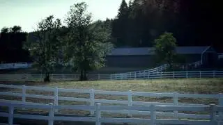 Saving Winston - Original Trailer [HD]