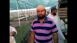 Arabian FarmHouse in Sharjah visit by amsar wood mfg Dubai, Engr. Ishrat Hussain enggishrat at gmail