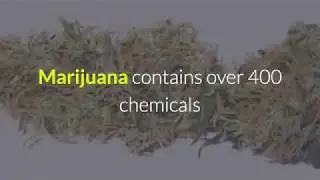 Is Marijuana Bad For Sexual Health -  Quit Marijuana Forum