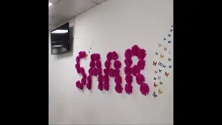Best Moments in 2017 of SAAR IT Resources Pvt. Ltd.