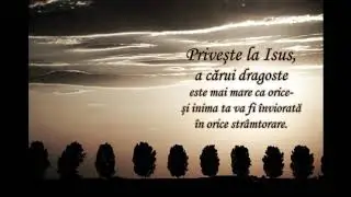 Traian Dorz-O fericit biruitor