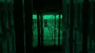 Unreal Engine version of Buffalo Bayou Park Cistern
