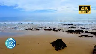 🌊🌊Oceanic Calmness: ASMR Waves for Stress Relief, 4K, 4K Live