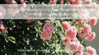 What Does It Mean That Energy Is Enlightened  But Consciousness Is Not Enlightened?