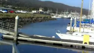 Princeton Harbor