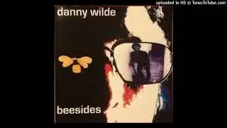 Danny Wilde - Radio Facist Groove