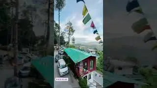 Best Budget Hotel In Binsar | Dolma Hotel | Must Visit Once