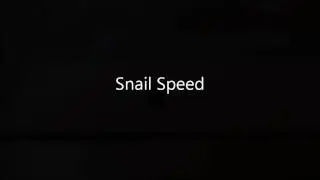 Snail Speed