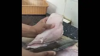 Emperor Fish - Unique Fish available in coast line of Bay of Bengal easily sourced from Tamil Nadu