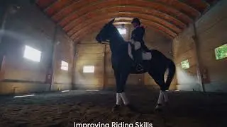 Mastering the Art of Show Jumping Course Analysis - Novellus Equestrian