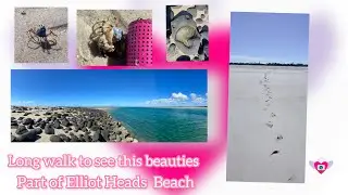 THINGS TO DO IN ELLIOTT HEADS | SAND FLAT LONG WALK | SALT CRABS | NATURE BEAUTY