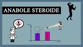 Anabole Steroide zerstören deinen Körper! Ursachen, Auswirkungen & Nebenwirkungen vom Doping