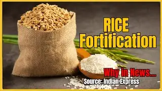 RICE Fortification EXPLAINED | 10th Oct