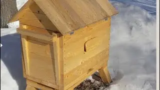 🍯Создаю ЕСТЕССТВЕННУЮ пасеку! Цель добыть мёд с диастазным числом 54 единицы