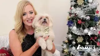 Lucy & Trip's Tricks of the Trade #1 : The Magic Wand Jump