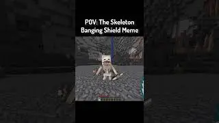 POV: The Skeleton Banging Shield Meme In Minecraft