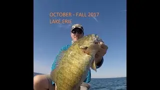 2017 OCTOBER FALL SMALLMOUTH BITE ON LAKE ERIE!