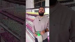 Your farm in your spare room!!! #plants #hydroponics #farming #india #verticalfarming #microgreens