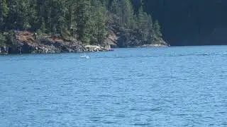 Sailing BC Coast