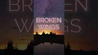 Sasin &ndash; Broken Wings (Lyric Video) | Haunting Ballad of Love & Loss #ballad #darkromance #lostlove