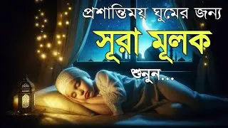 ঘুমানোর আগে অন্তর শীতল কন্ঠে শুনুন সূরা আল মূলক এক ঘন্টা তেলাওয়াত | Surah Mulk by Shamsul Haque