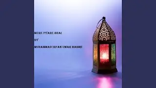 Mere Pyare Bhai