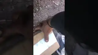 Mi carro vibra el motor