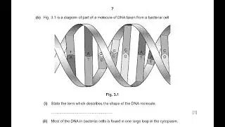 5090/JUN24/22 PAPER22 EXPLAINED