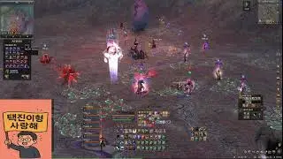 리니지2 각성섭 랭킹 1위 울프 박일도 디스론 및 올림