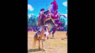 Abdiyuun Habiib Abbaan Fardaa Ni Boonaa