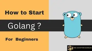 Golang Tutorial For Beginners | Go Programming Language Tutorial | Basic about Go